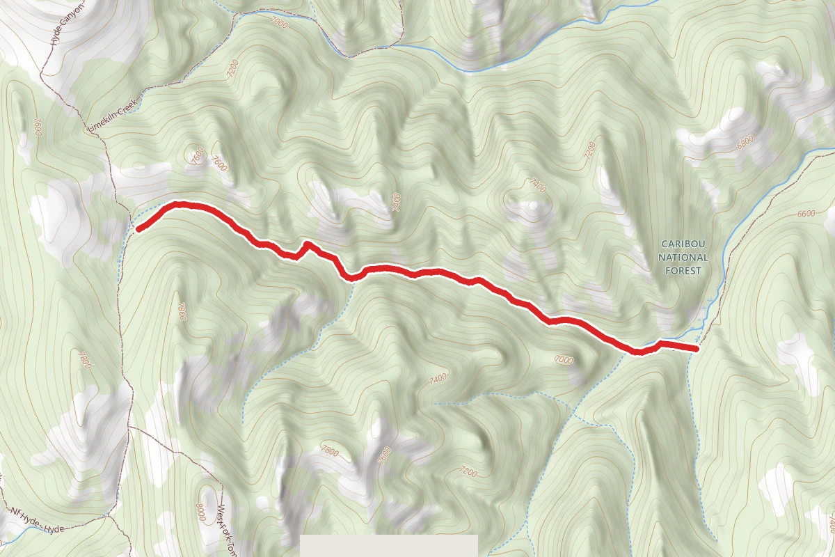 South Fork Smith Canyon