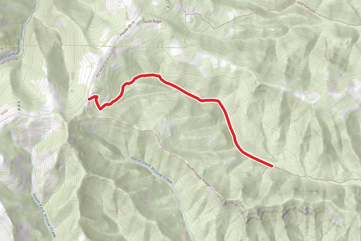 No Fork - So Cedar Canyon