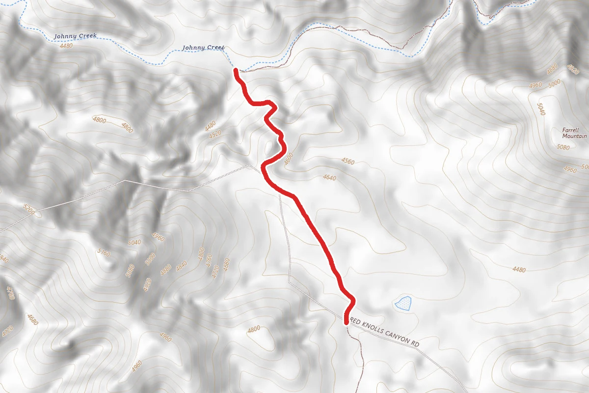 Safford-Morenci Trail