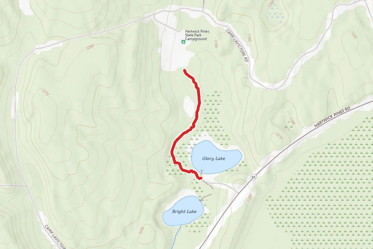Hartwick Pines State Park - Bright and Glory Nature Trail