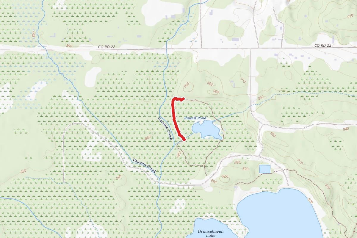 Rifle River Rec. Area - Pintail Pond Trail