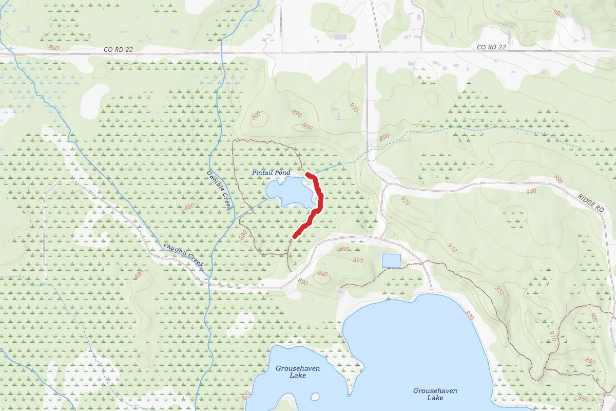 Rifle River Rec. Area - Pintail Pond Trail