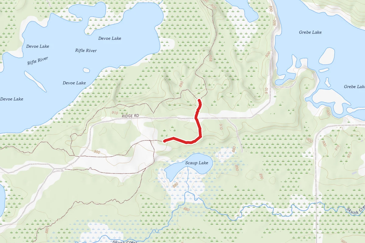 Rifle River Rec. Area - Hiking and Mountain Biking and Ski Trail