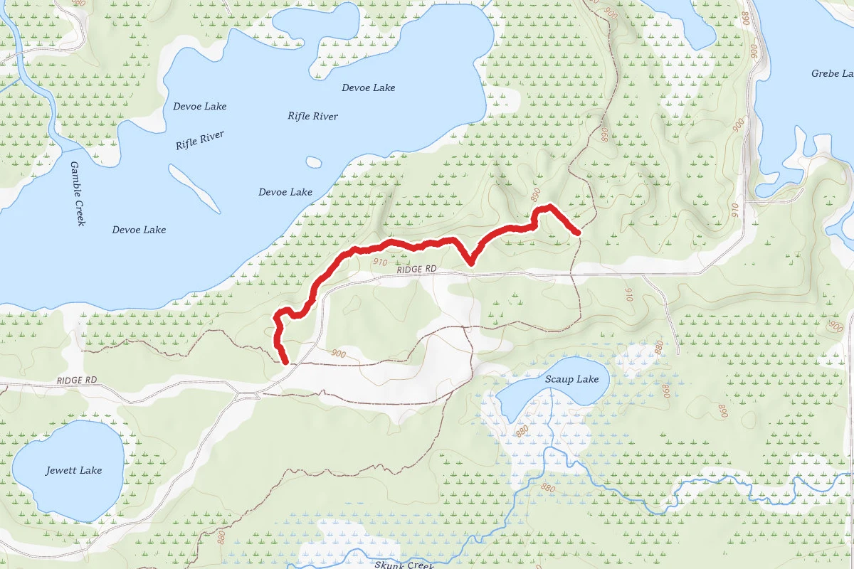 Rifle River Rec. Area - Hiking and Mountain Biking and Ski Trail
