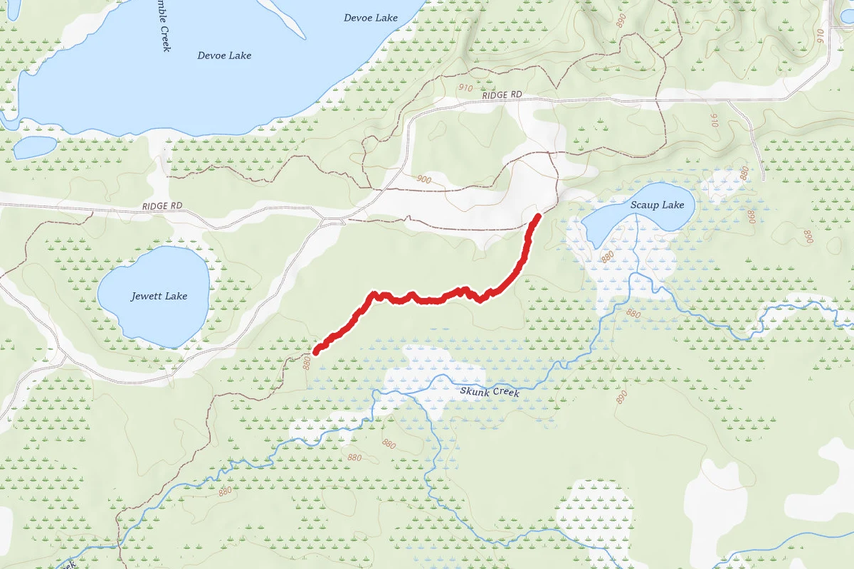 Rifle River Rec. Area - Hiking and Mountain Biking and Ski Trail