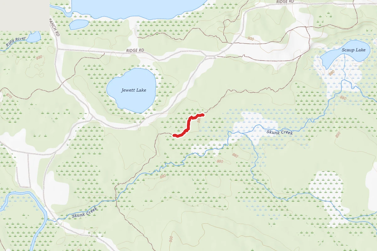 Rifle River Rec. Area - Hiking and Mountain Biking and Ski Trail