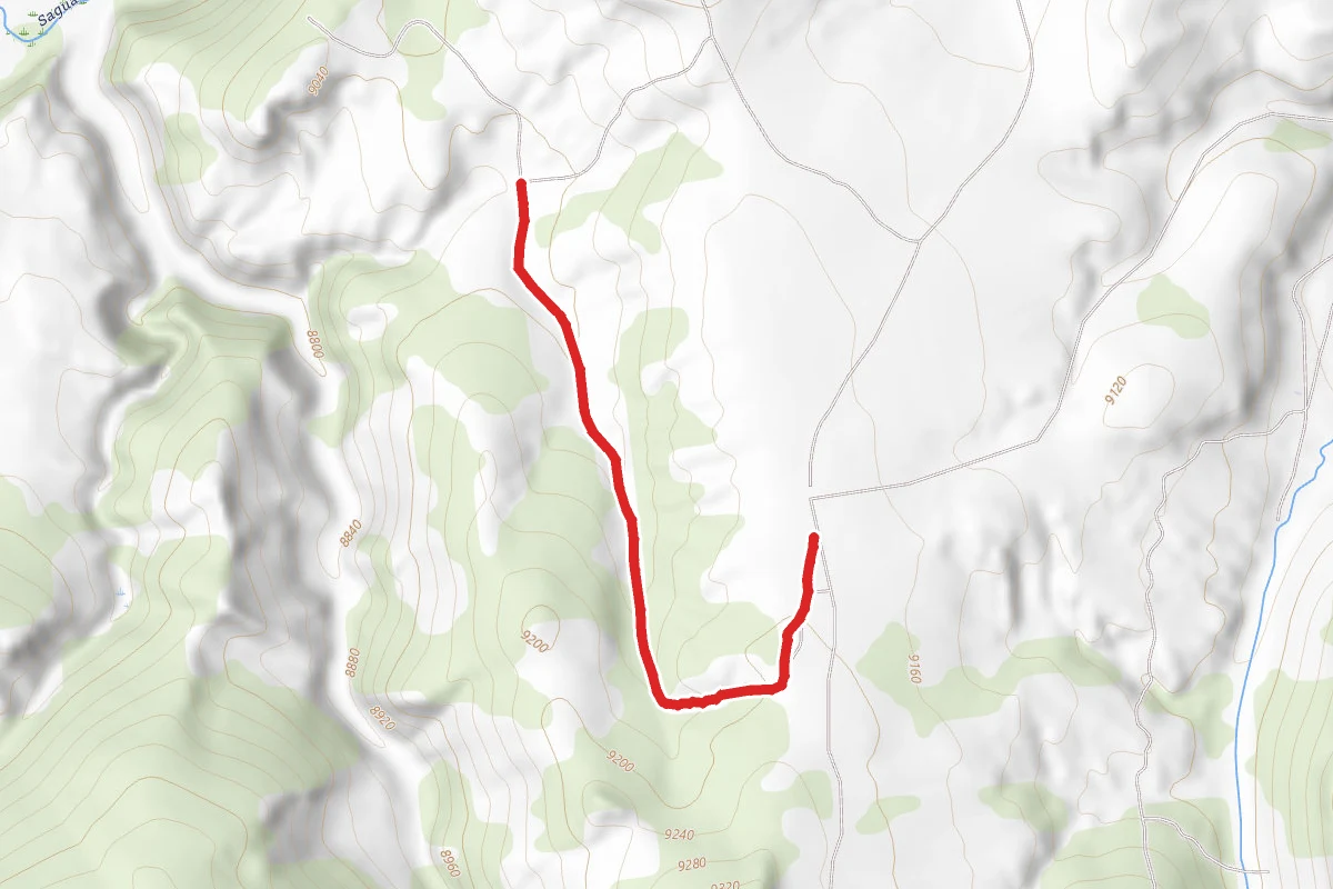 Curtis Loop