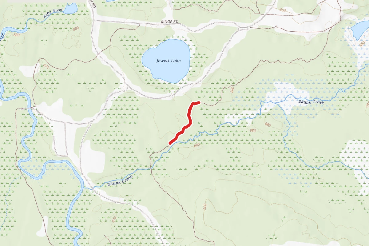 Rifle River Rec. Area - Hiking and Mountain Biking and Ski Trail