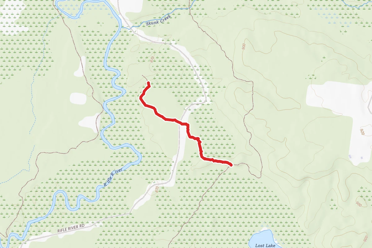 Rifle River Rec. Area - Hiking and Mountain Biking and Ski Trail