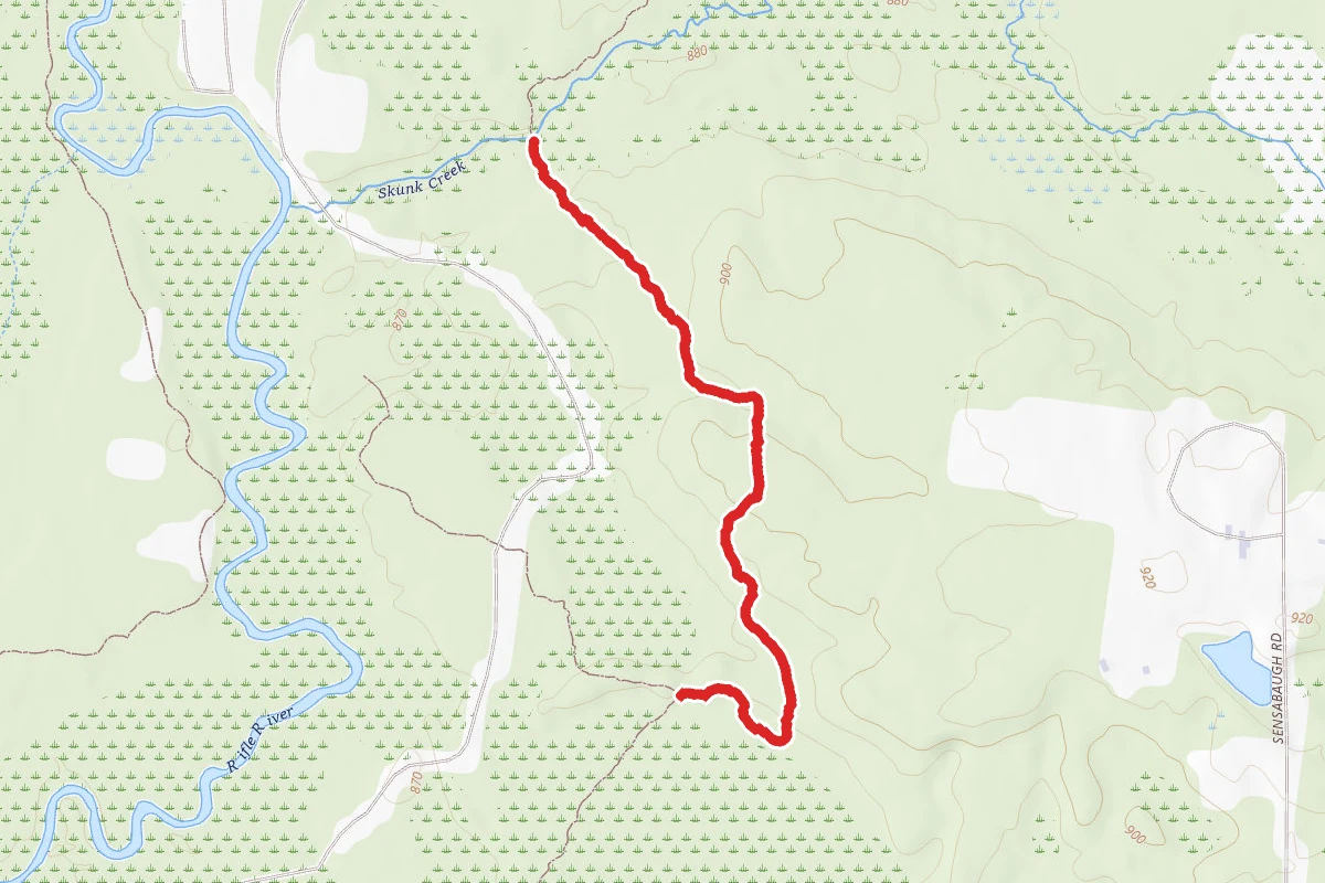 Rifle River Rec. Area - Hiking and Mountain Biking and Ski Trail