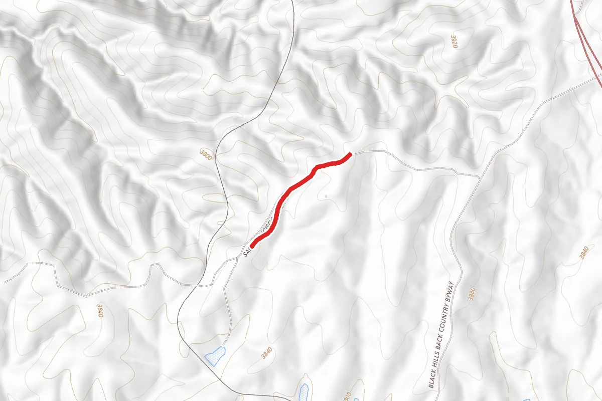 San Francisco River Road