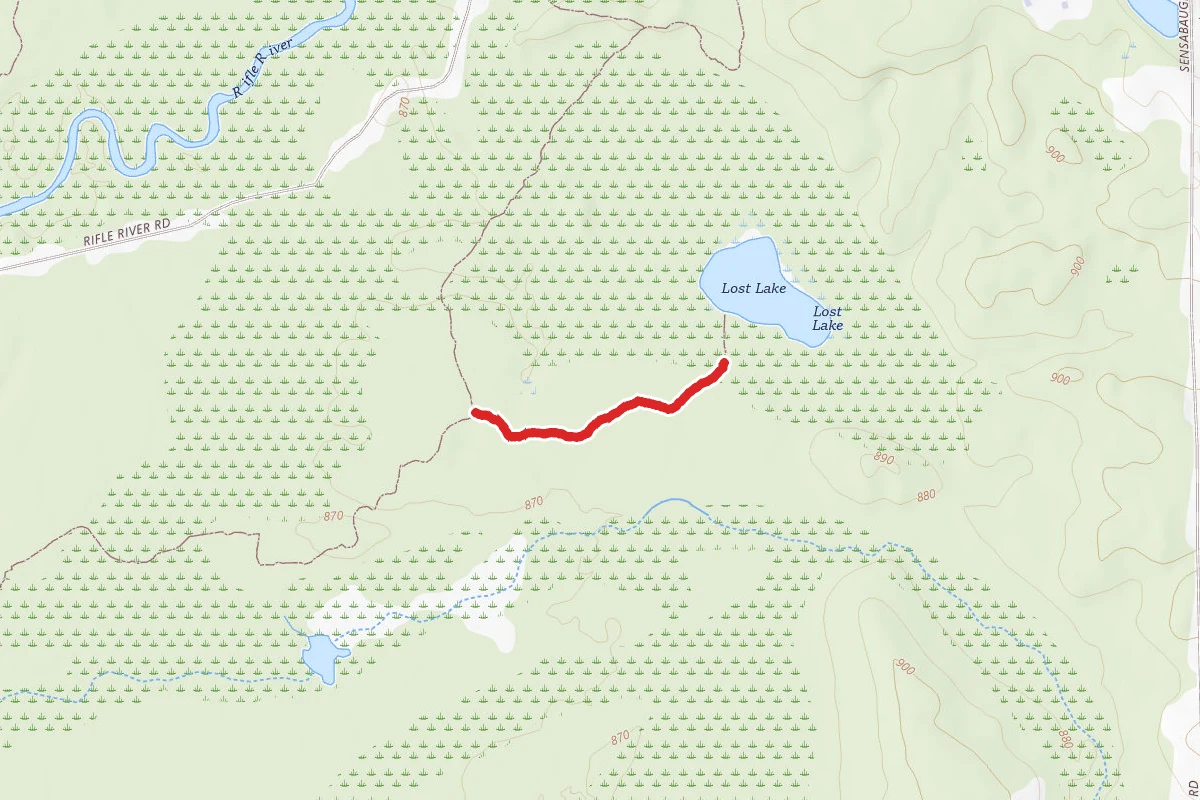 Rifle River Rec. Area - Hiking and Mountain Biking and Ski Trail