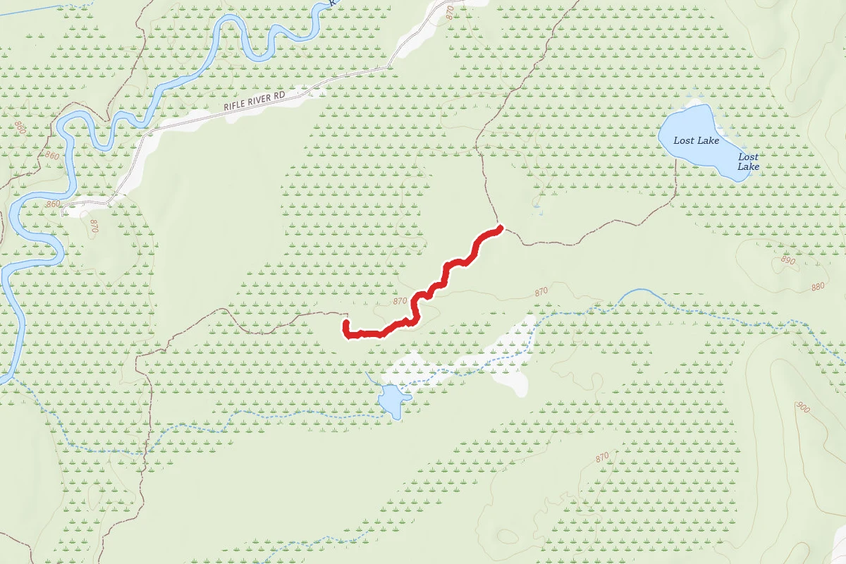 Rifle River Rec. Area - Hiking and Mountain Biking and Ski Trail