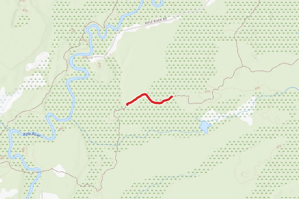 Rifle River Rec. Area - Hiking and Mountain Biking and Ski Trail