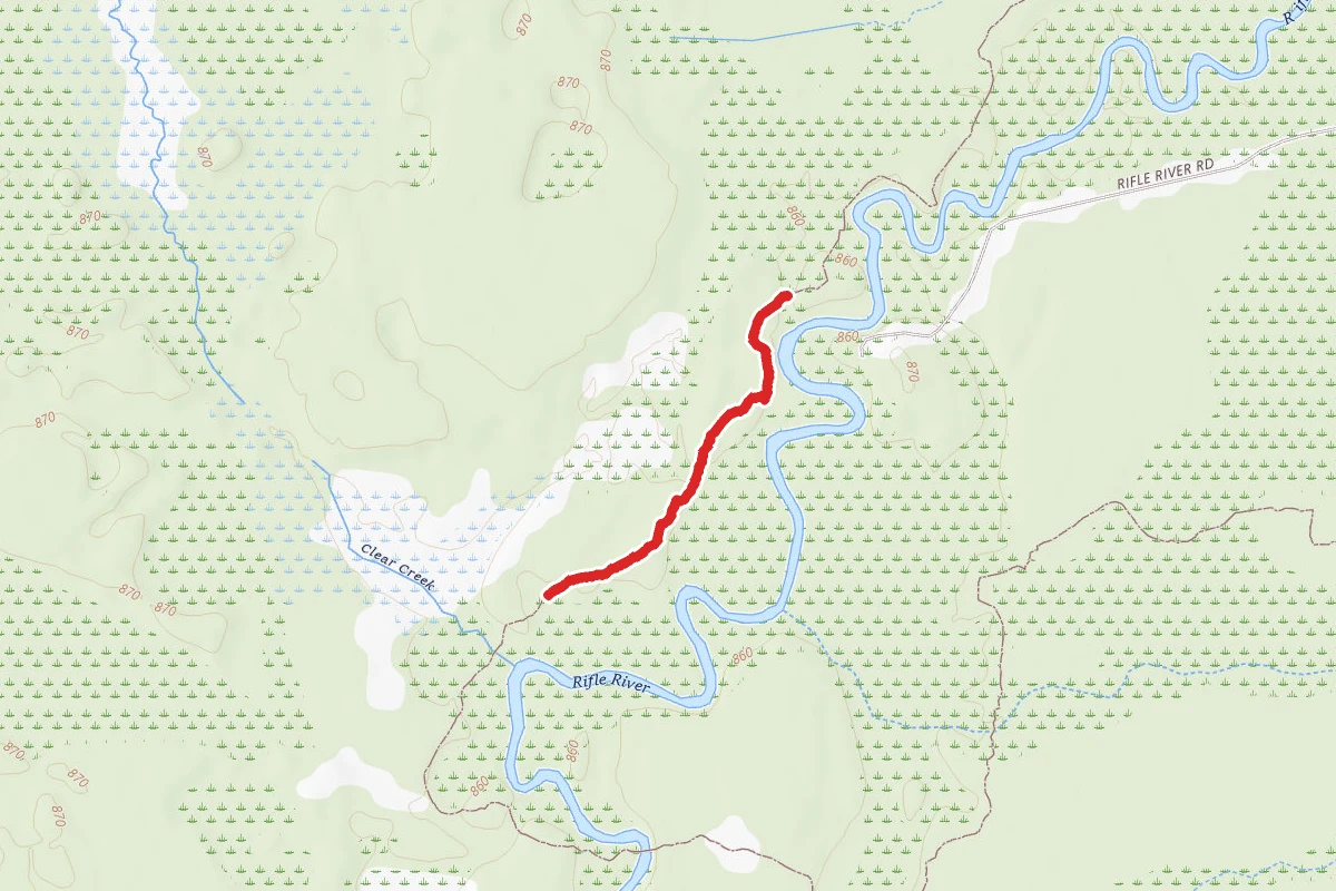Rifle River Rec. Area - Hiking and Mountain Biking and Ski Trail