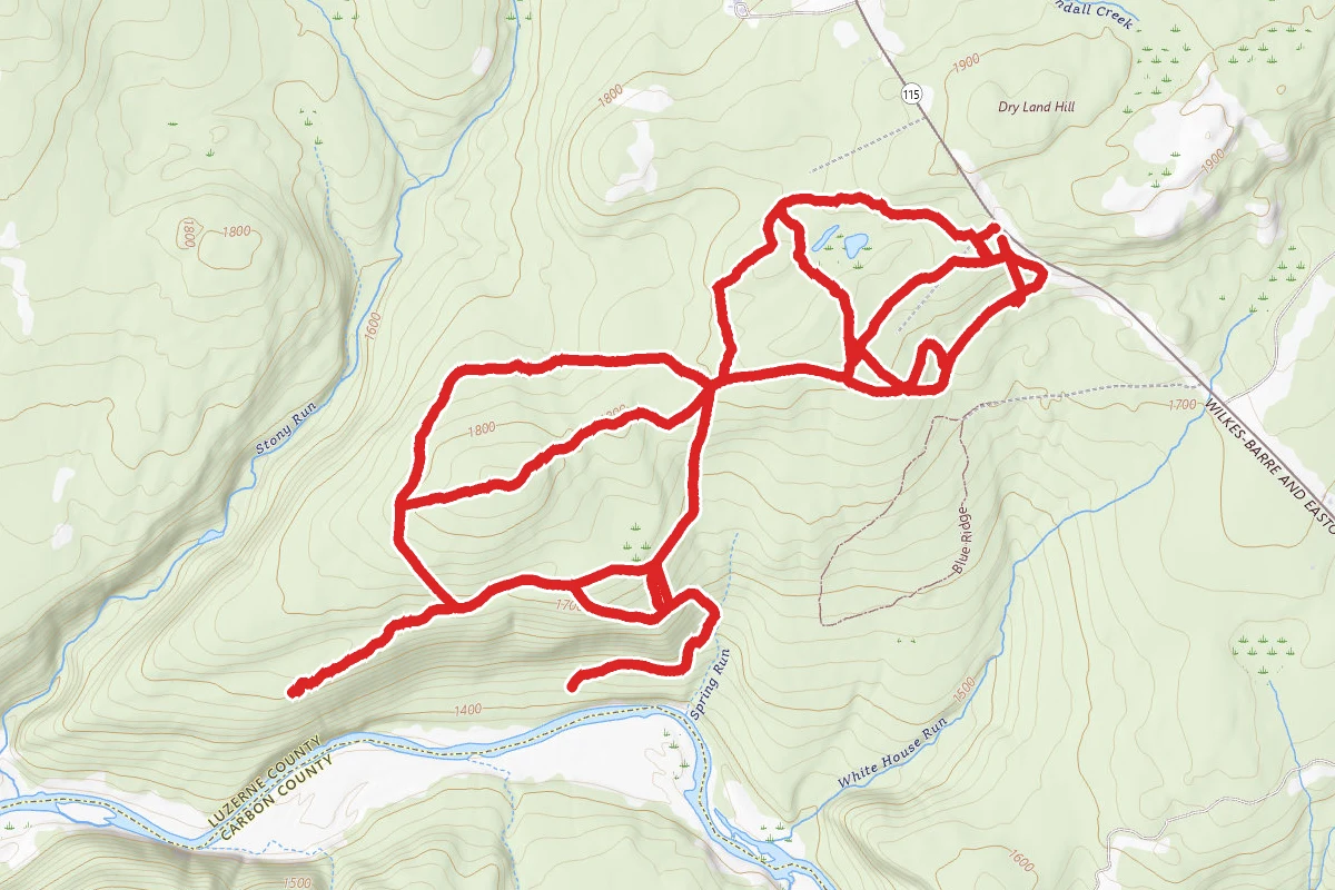 Bear Creek Preserve Trails