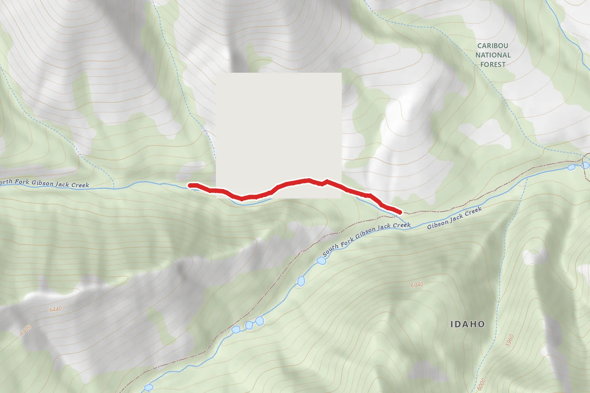 Rna Trail