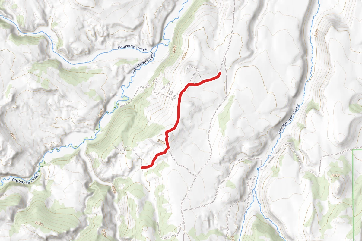 Curtis Loop