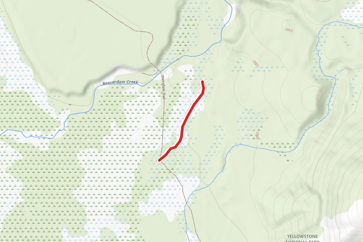 6B4 Campsite Spur Trail