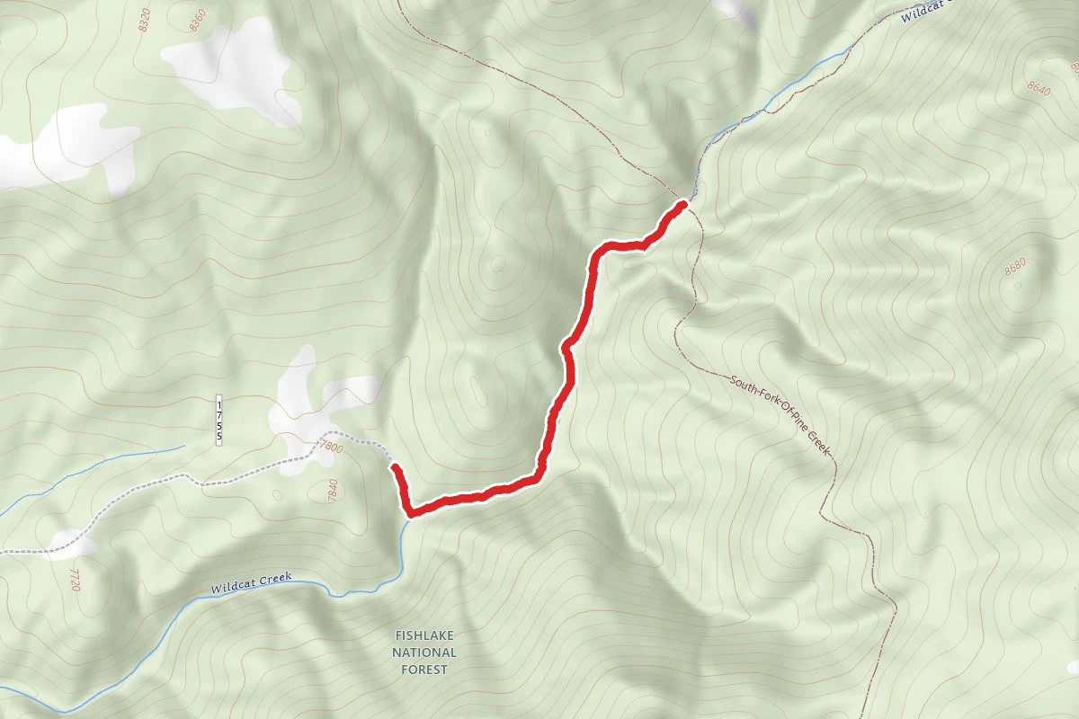 Wildcat Pass - Shingle Creek