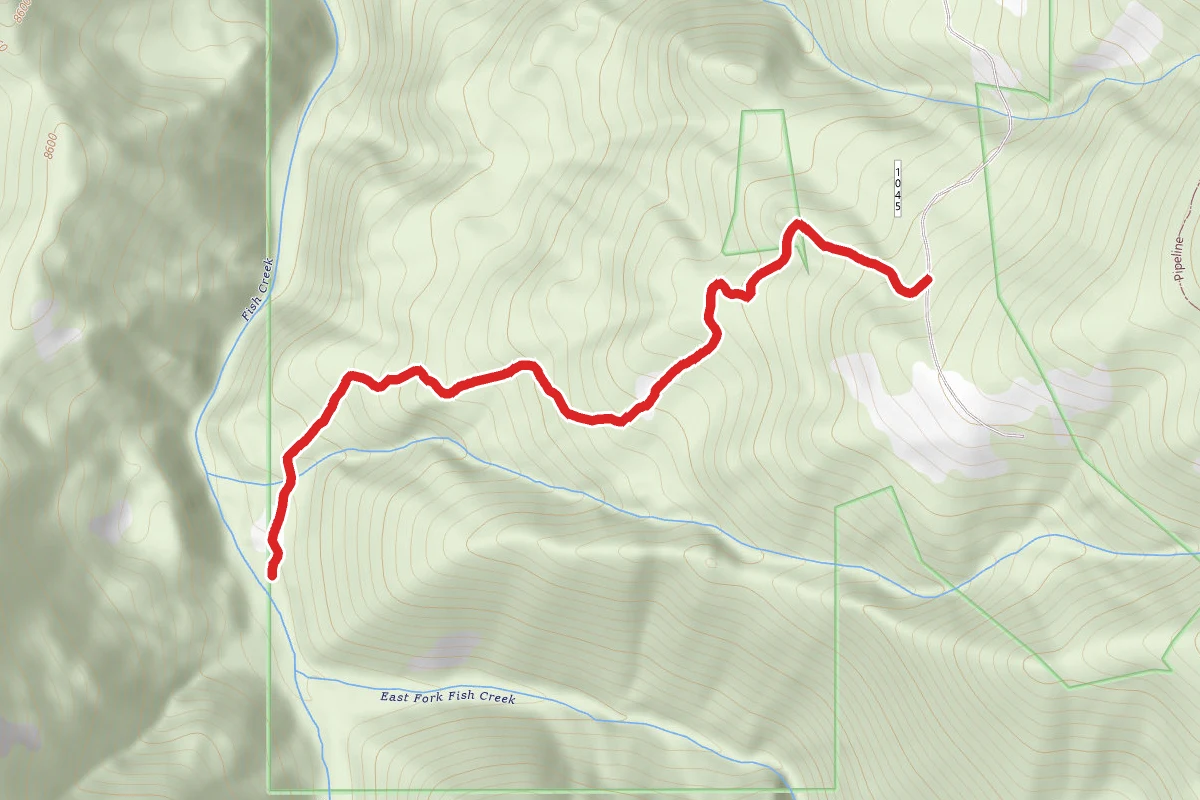 Trappers Creek