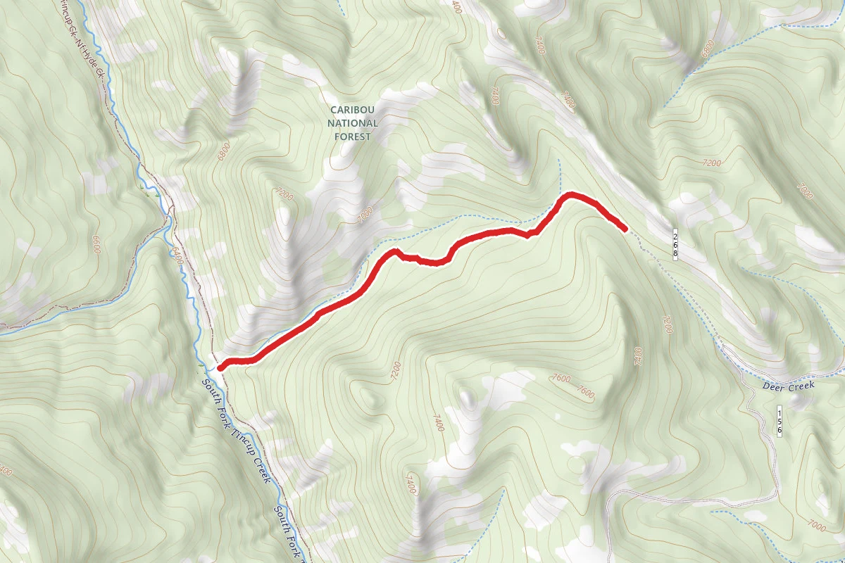 South Fork Tincup Access