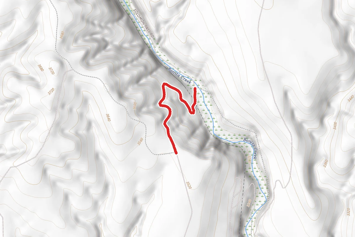 Lee Trail Road