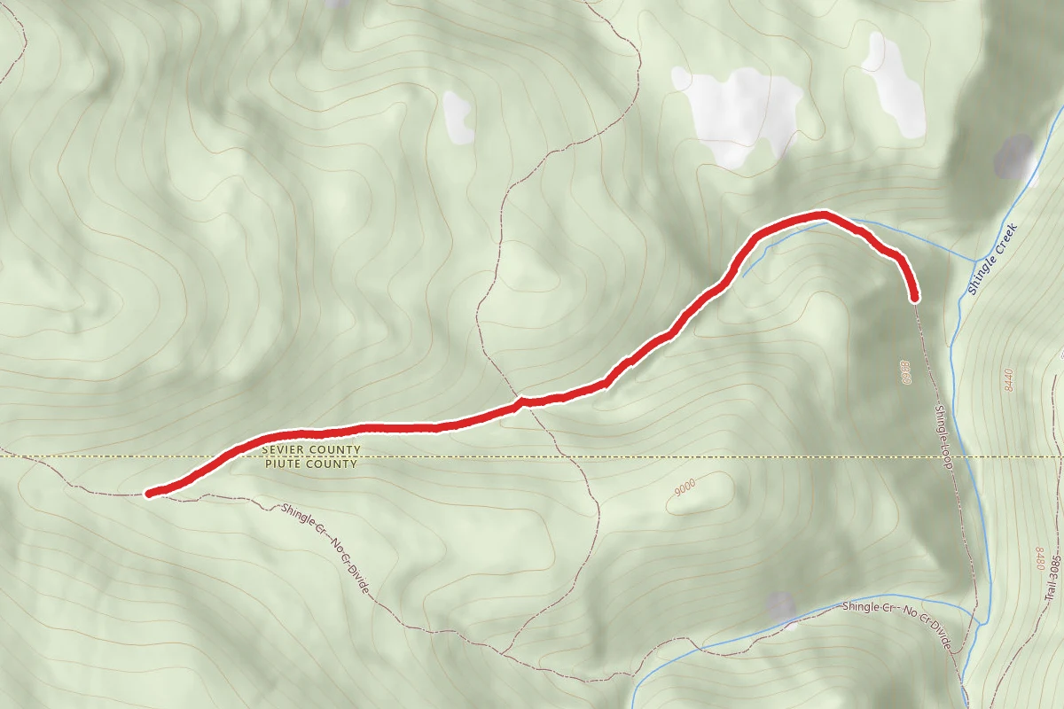 Shingle Loop