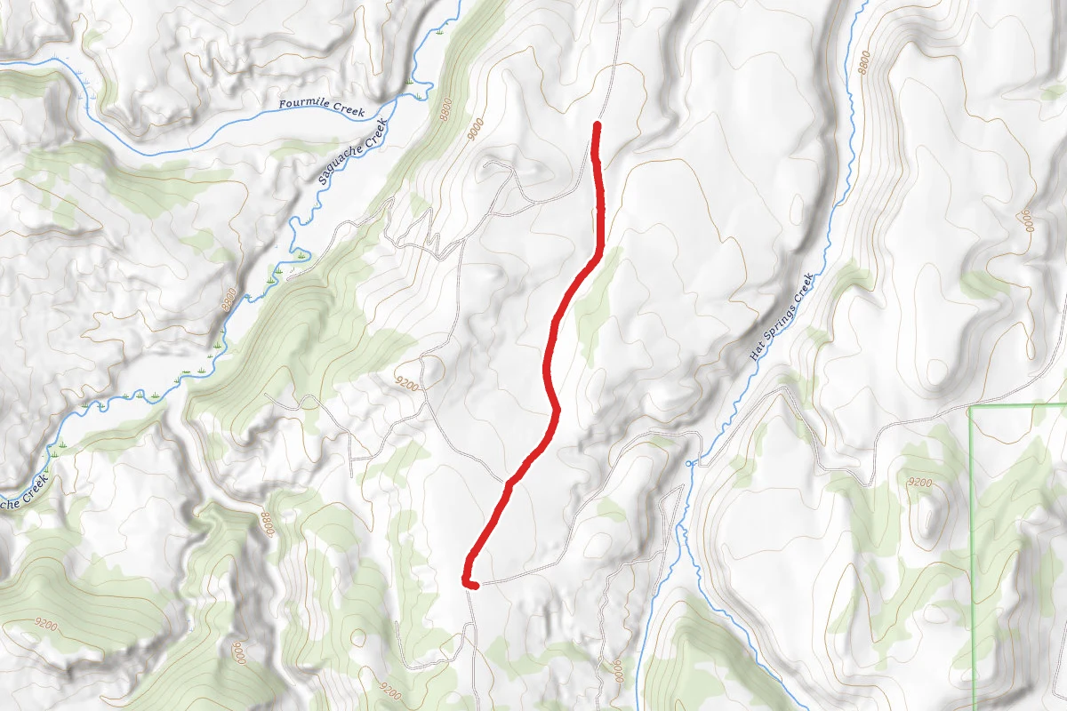 Curtis Loop