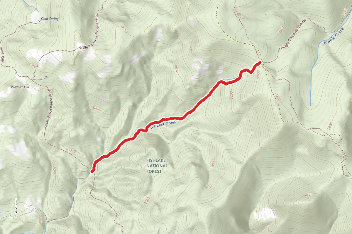 Wildcat Pass - Shingle Creek