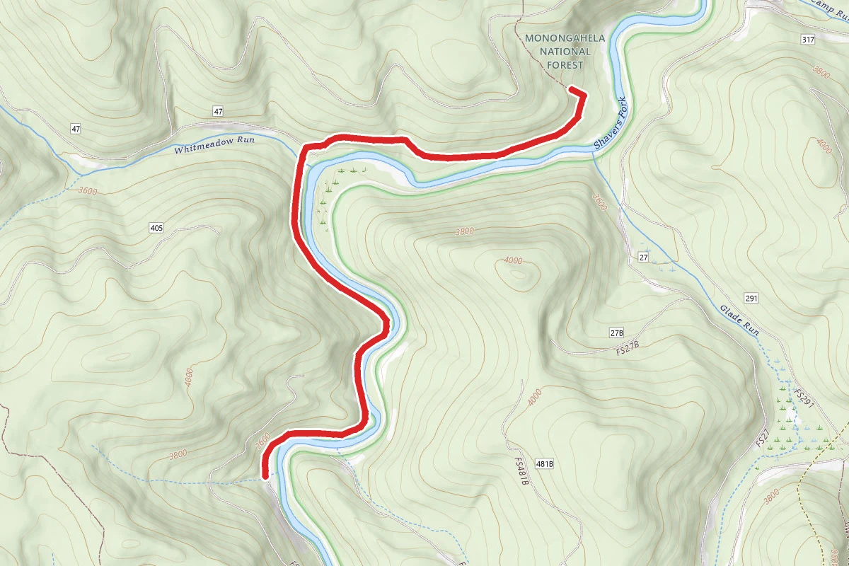 Shavers Fork Trail