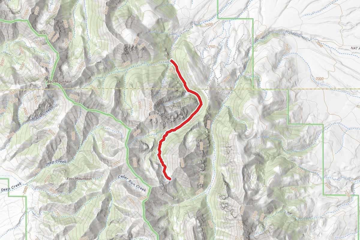 South Fork Meadow