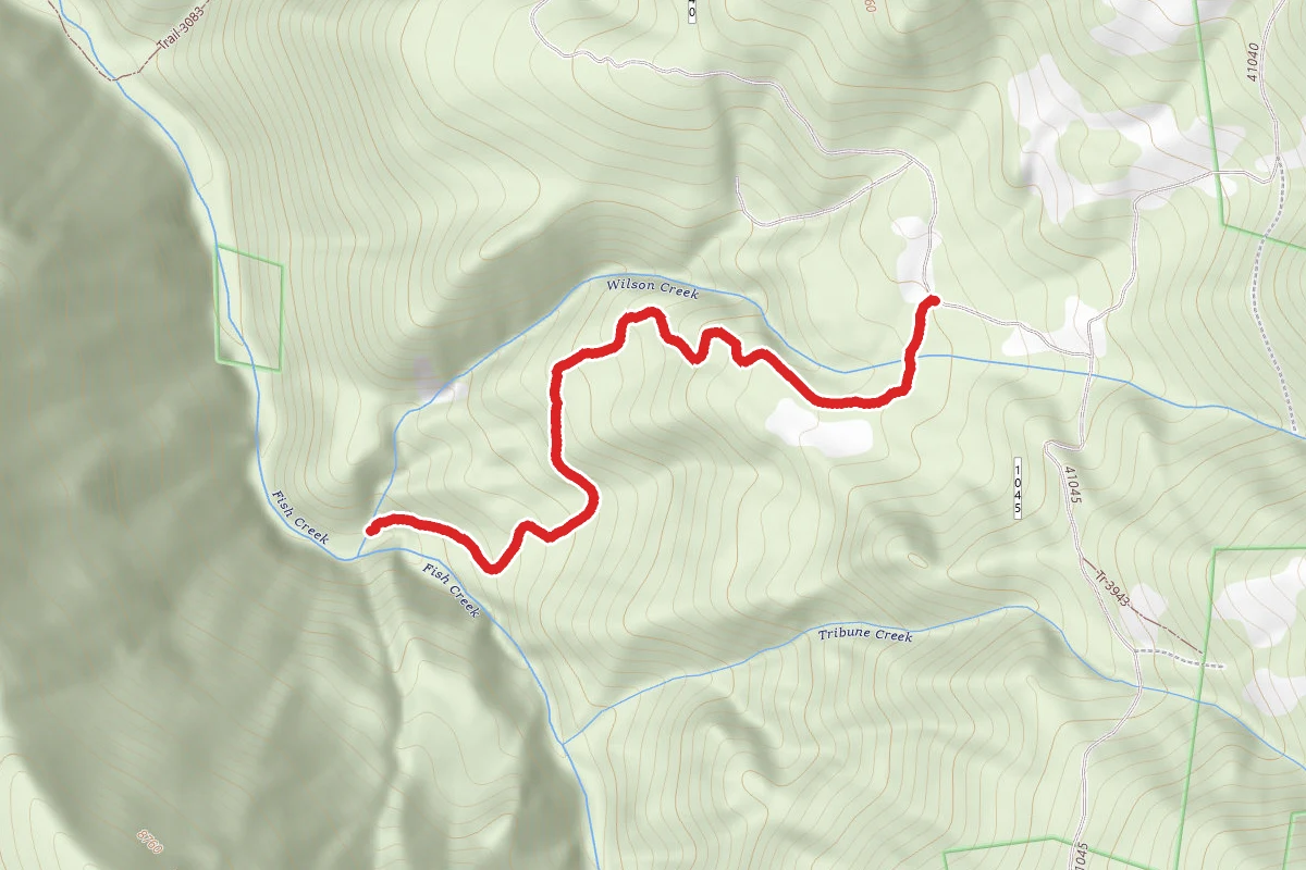 Tribune Creek - Wilson Creek