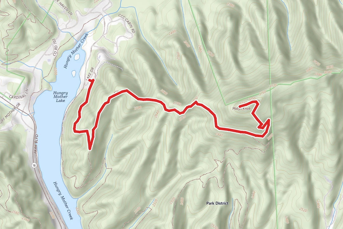 Molly's Knob Trail