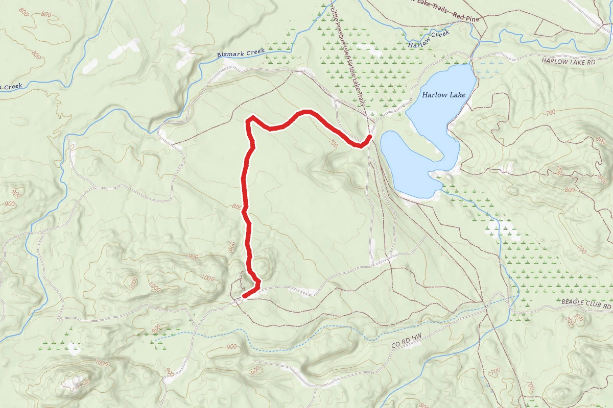 Little Presque Isle/Harlow Lake Trails