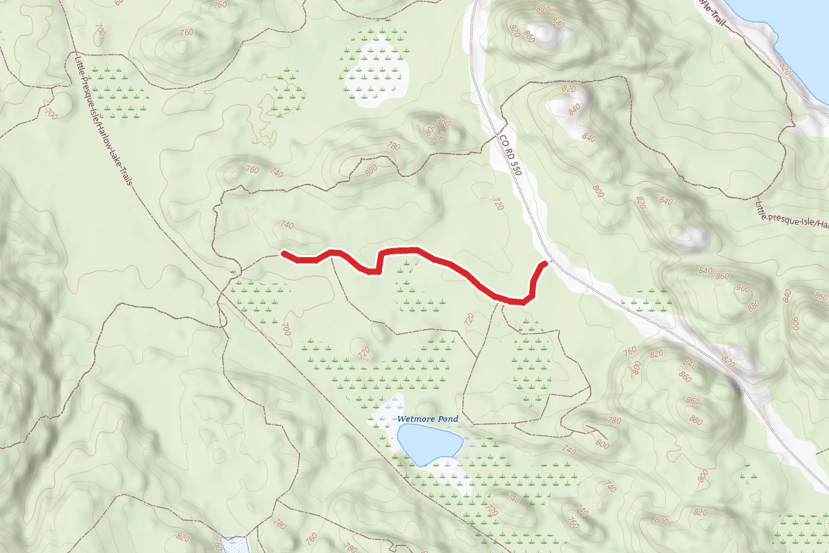 Little Presque Isle/Harlow Lake Trails