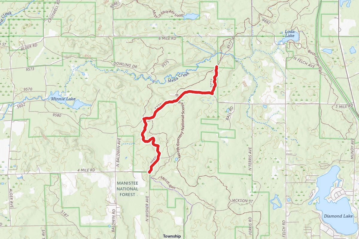 Newaygo-Wellston Smt Dnr3
