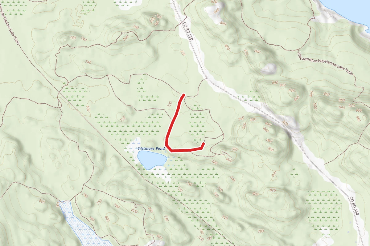 Little Presque Isle/Harlow Lake Trails