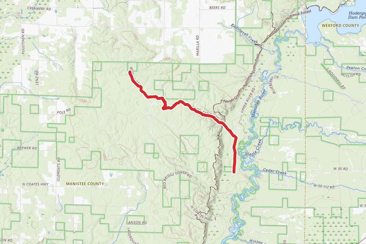 Newaygo-Wellston Smt Dnr3