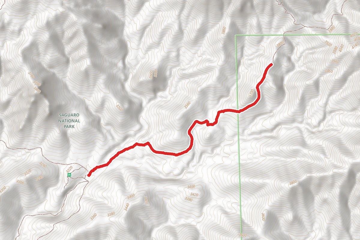 King Canyon Wash Trail