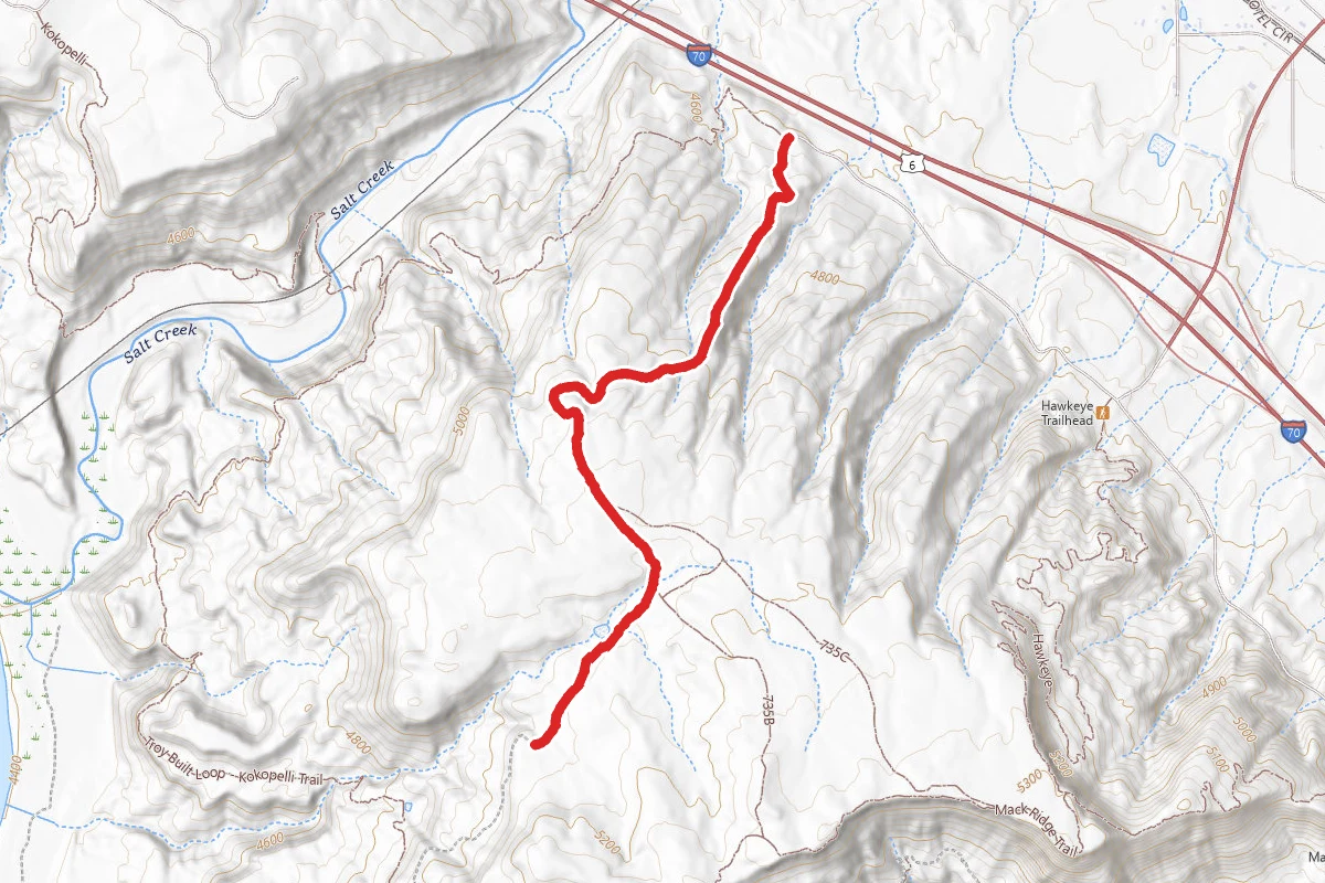 Lion's Loop