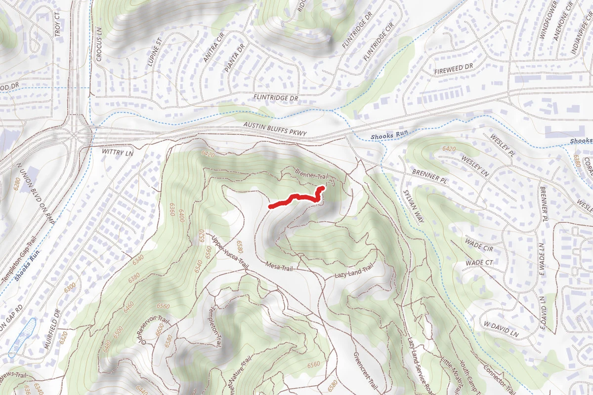 Connector Trail