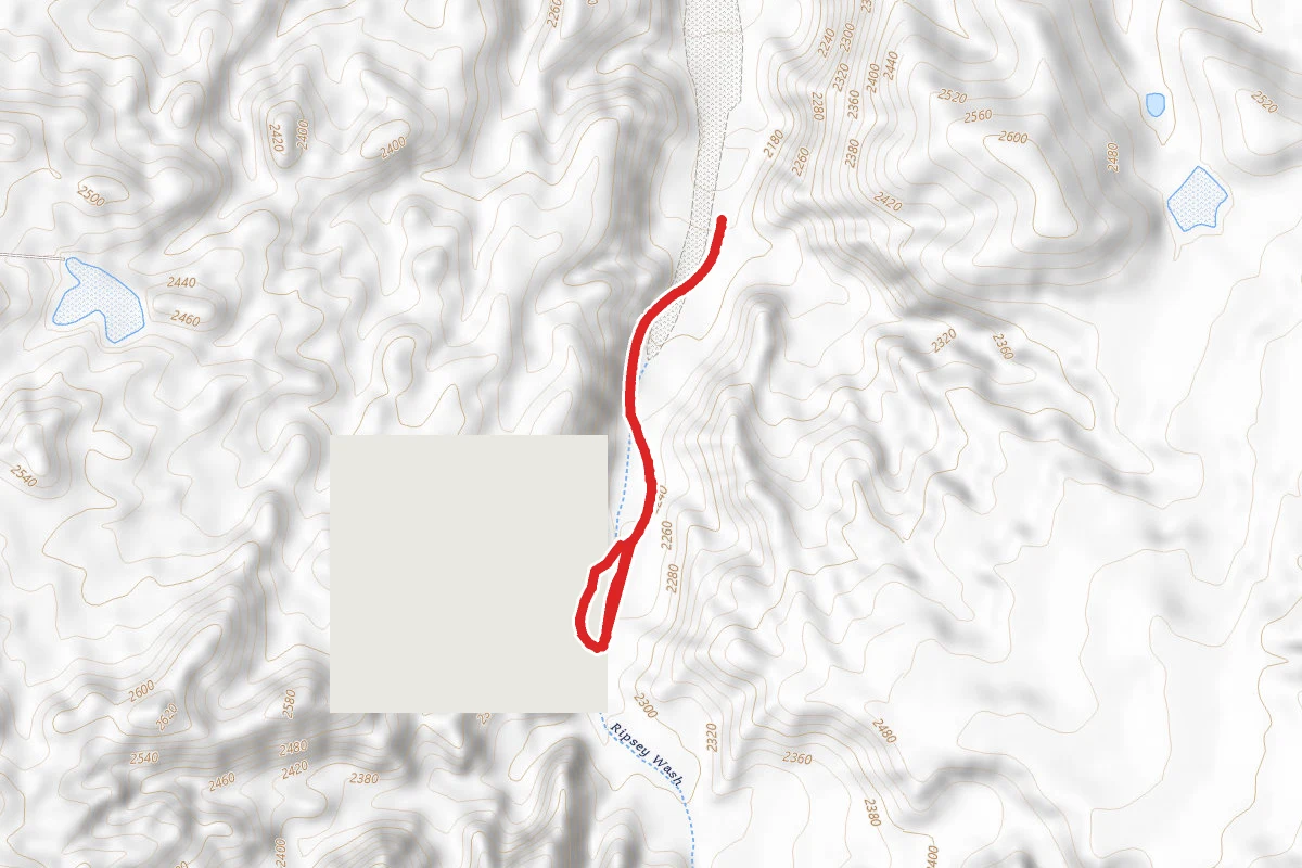Ripsey Wash
