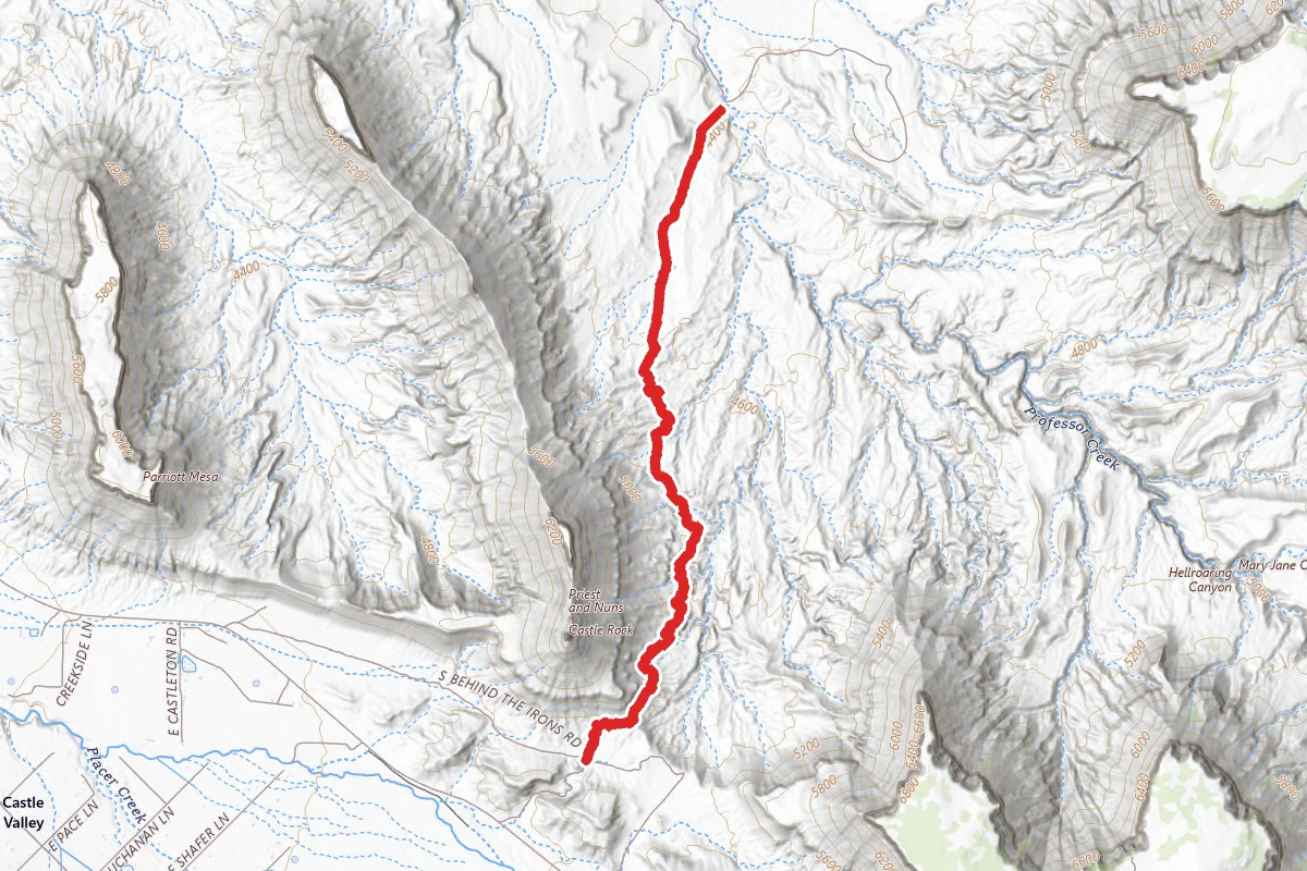 Sylvester Trail