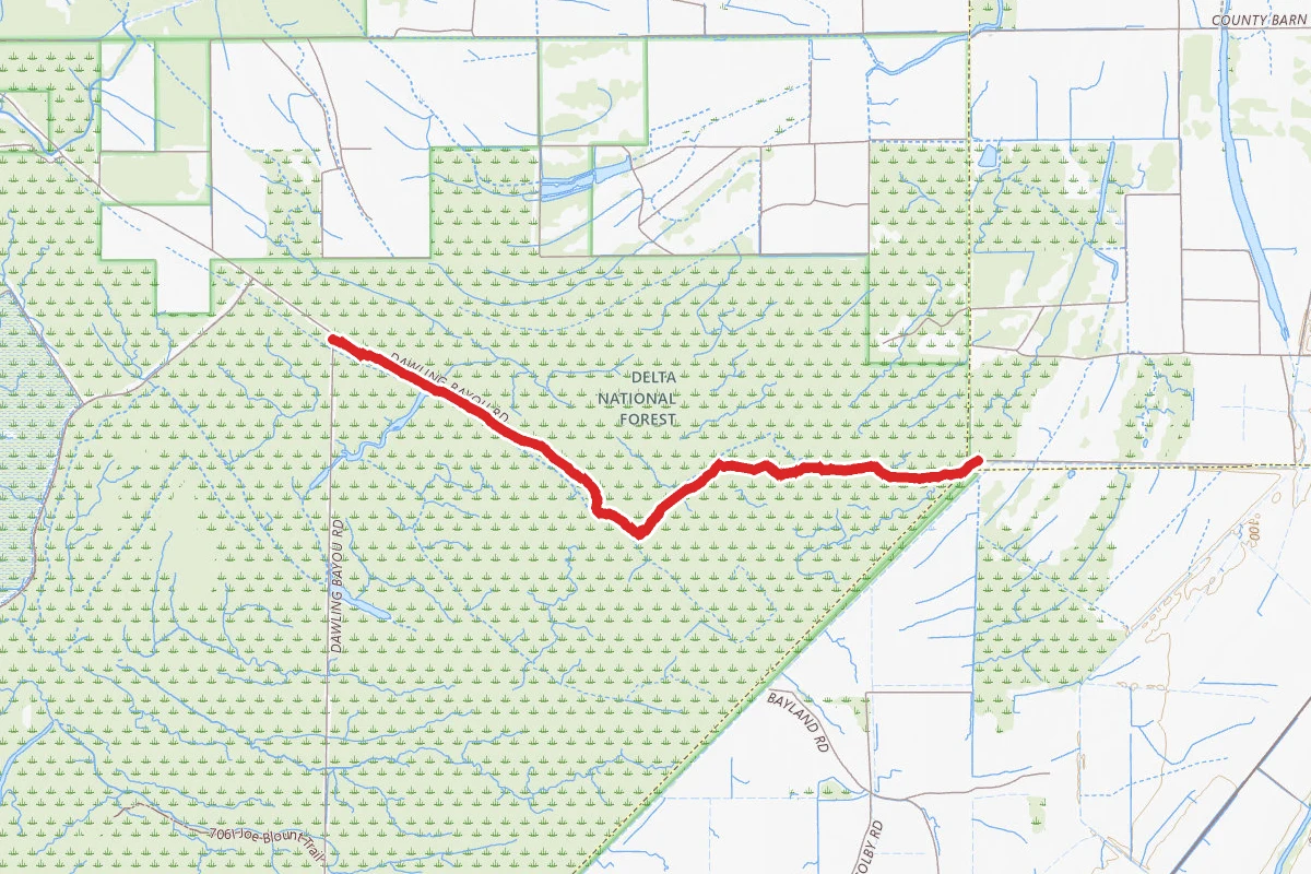 Mccann Bayou ( F S Road 706-C)