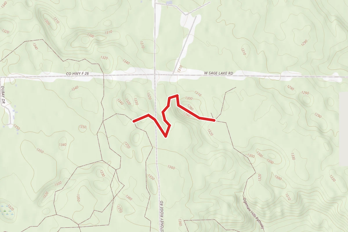 Ogemaw Hills Pathway