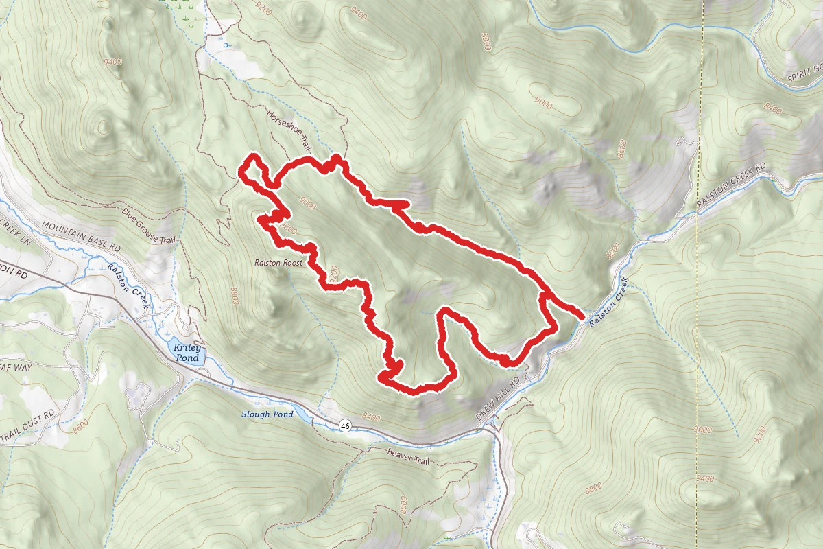 Black Bear and Horseshoe Trail Loop