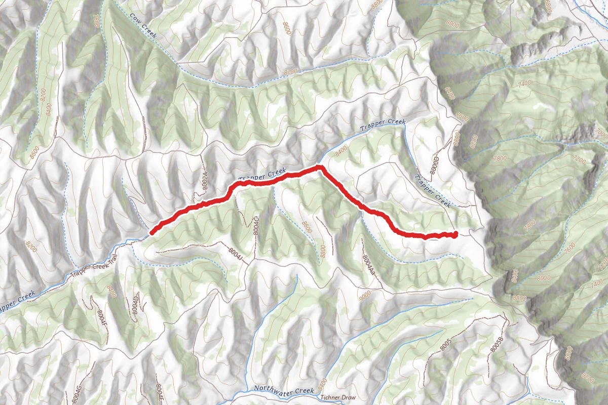 Trapper Creek Trail