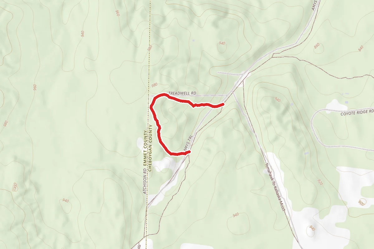 Wildwood Hills Pathway