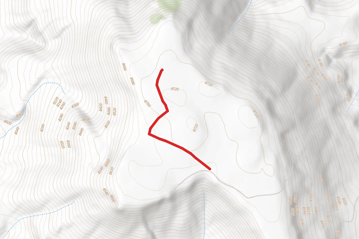 Faint, Missing, Two Track Road